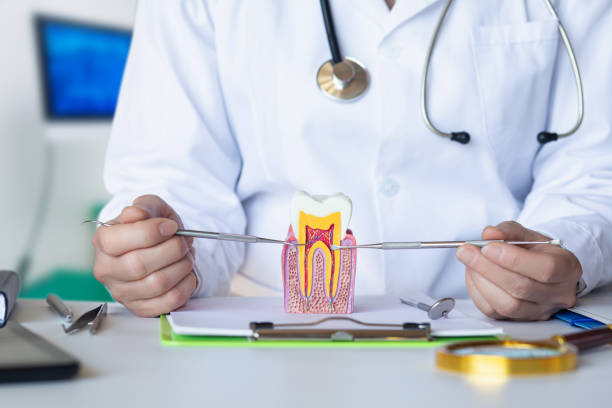 Best Emergency Dental Services for Seniors in Shawsville, VA